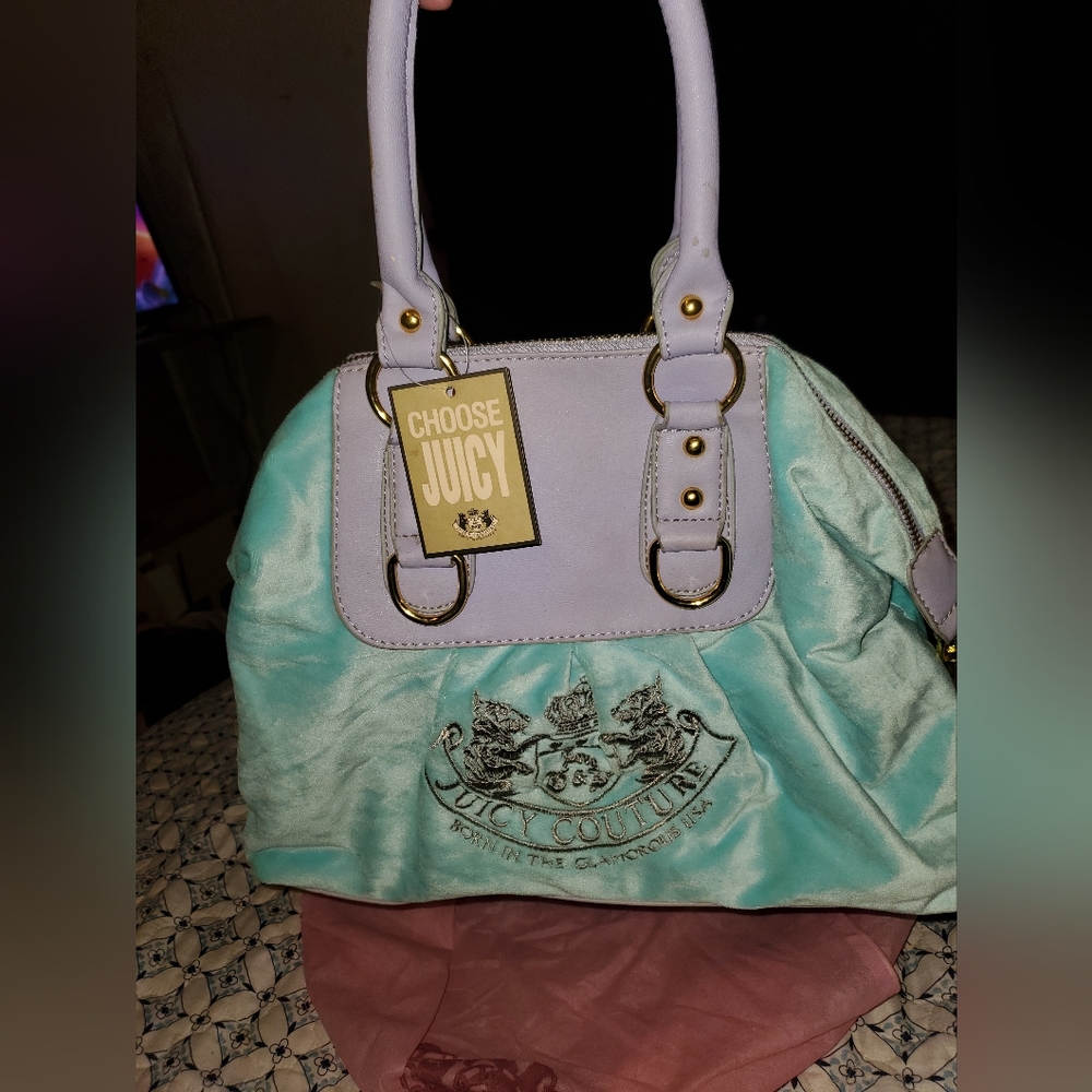 Juicy Couture Mint/Baby Blue and Lavender Bag